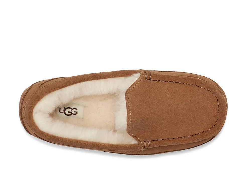 Ascot in Chestnut Suede by UGG