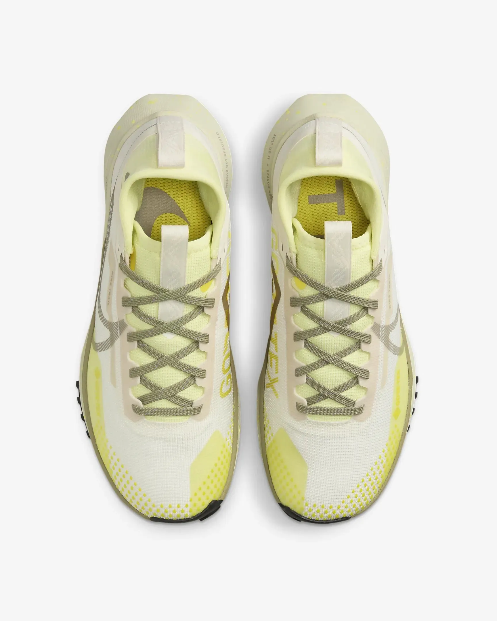 Women's Nike Pegasus Trail 4 GORE-TEX